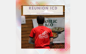 Réunion ICD