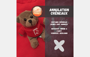 Annulation Créneaux BENJAMINS