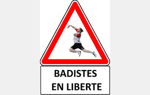 61b6239731299_Badistesenlibert.jpg