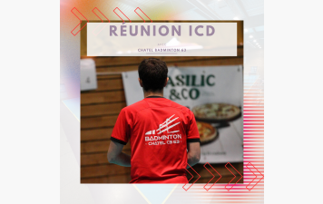Réunion ICD