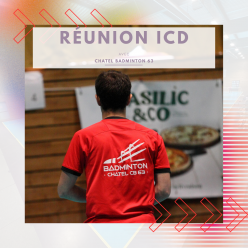 Réunion ICD